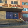 Дамми