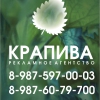 Крапива